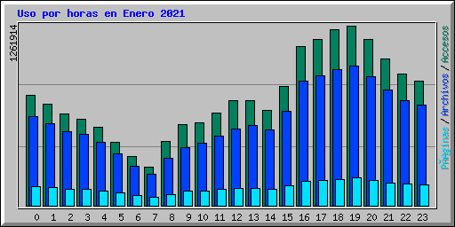 Uso por horas en Enero 2021
